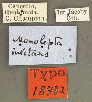 Media type: image;   Entomology 18402 Aspect: labels